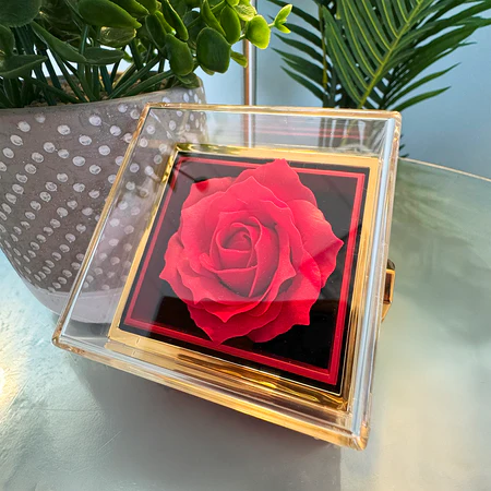 To MOM, Love Knot Necklace & Rotating Rose Gift Box.