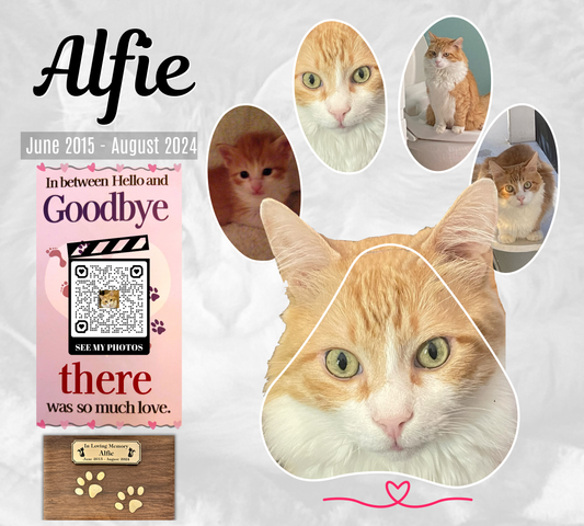 In Memory of Our Dearest Cat Alfie, June 2015 - August 2024, Acrylic Square Print - YERTIZZ.COM
