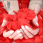 Rose Petals - YERTIZZ.COM