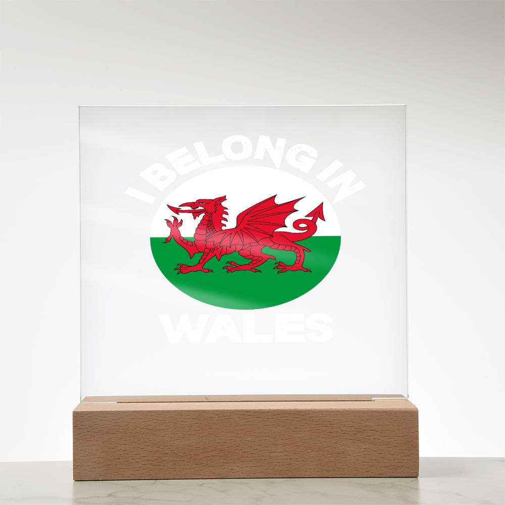 Square Acrylic Plaque, I Belong In Wales - YERTIZZ.COM