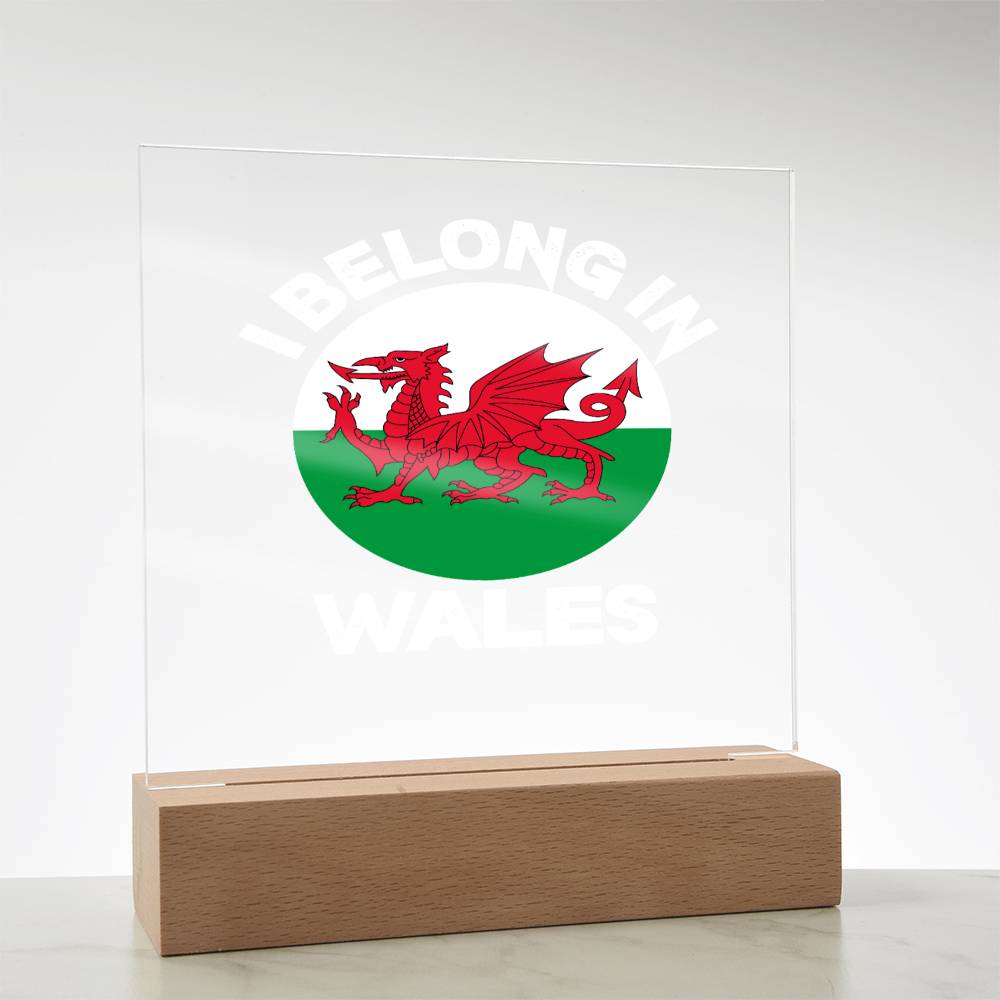 Square Acrylic Plaque, I Belong In Wales - YERTIZZ.COM