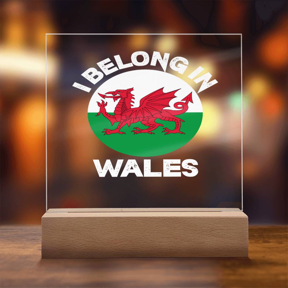 Square Acrylic Plaque, I Belong In Wales - YERTIZZ.COM
