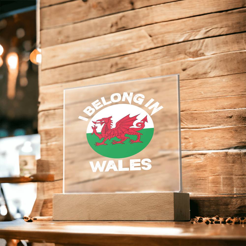 Square Acrylic Plaque, I Belong In Wales - YERTIZZ.COM