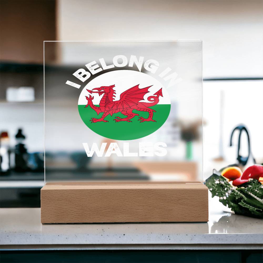 Square Acrylic Plaque, I Belong In Wales - YERTIZZ.COM