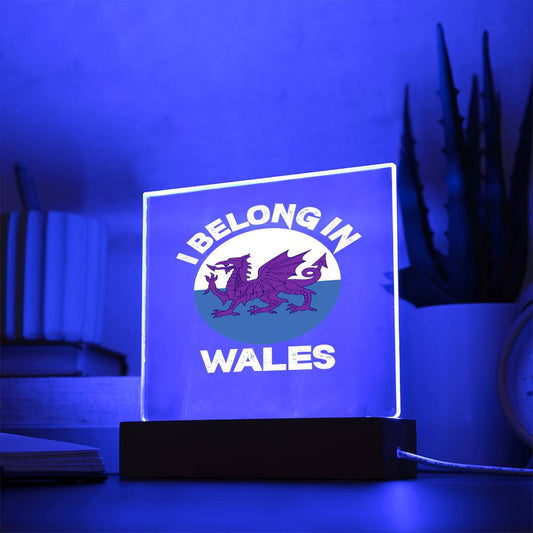 Square Acrylic Plaque, I Belong In Wales - YERTIZZ.COM