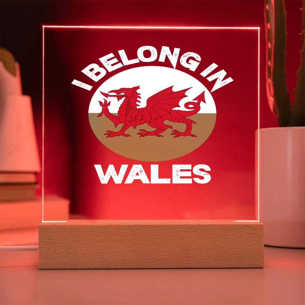 Square Acrylic Plaque, I Belong In Wales - YERTIZZ.COM