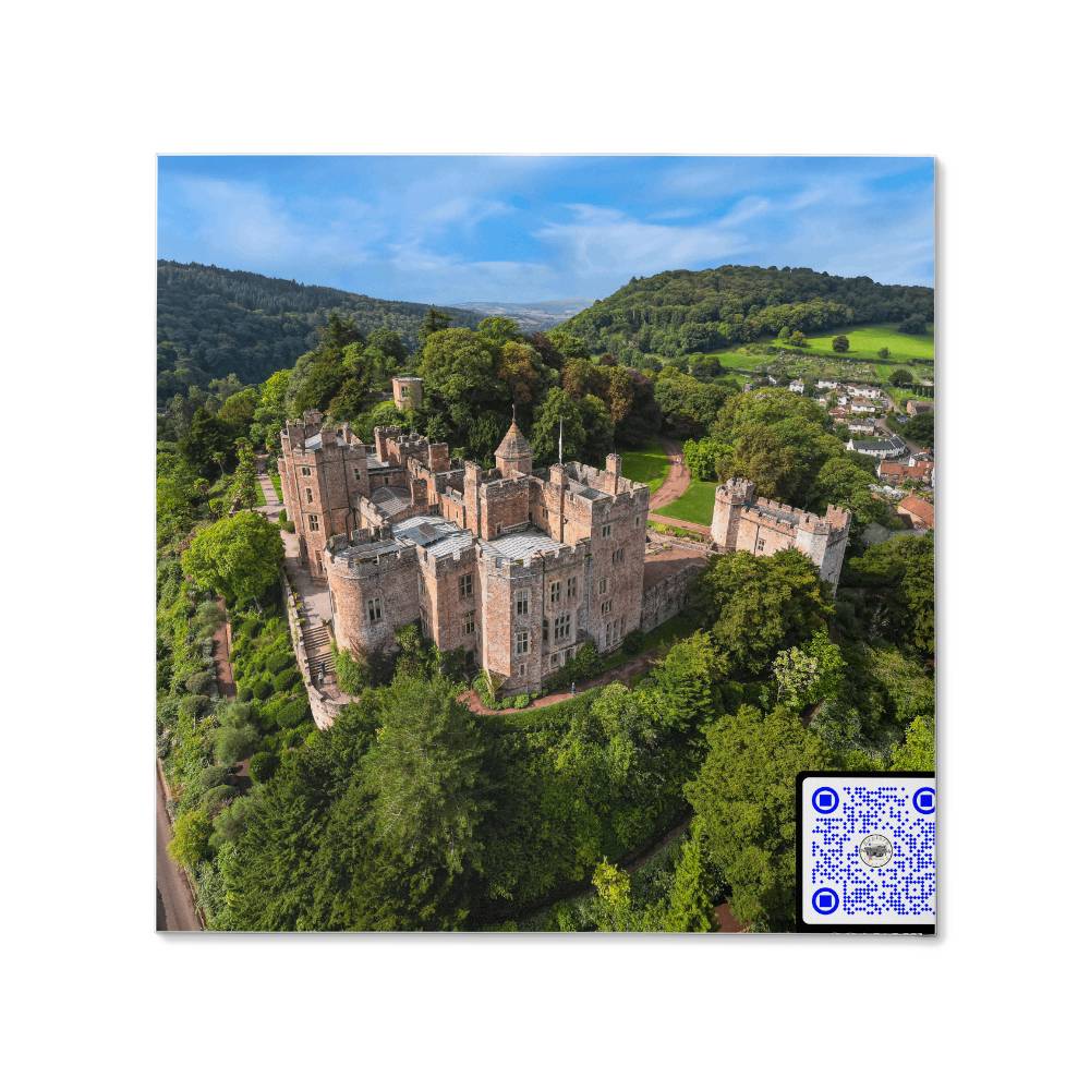 Dunster Castle, Somerset England, Aerial View, Gallery Wrapped Canvas - YERTIZZ.COM