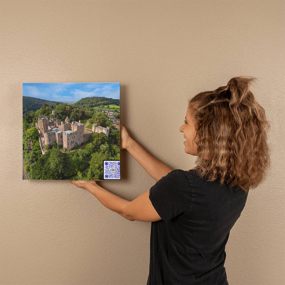 Dunster Castle, Somerset England, Aerial View, Gallery Wrapped Canvas - YERTIZZ.COM