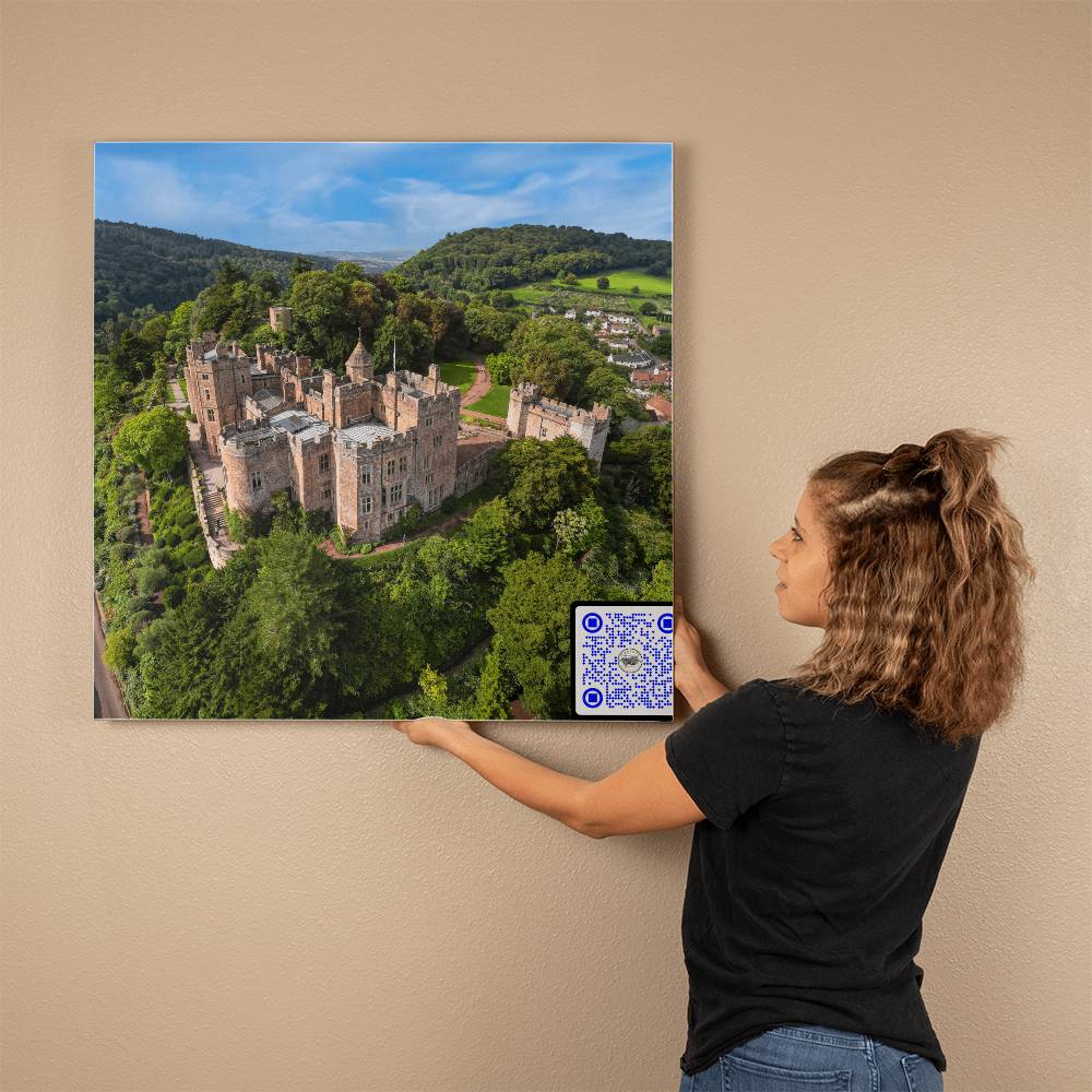 Dunster Castle, Somerset England, Aerial View, Gallery Wrapped Canvas - YERTIZZ.COM