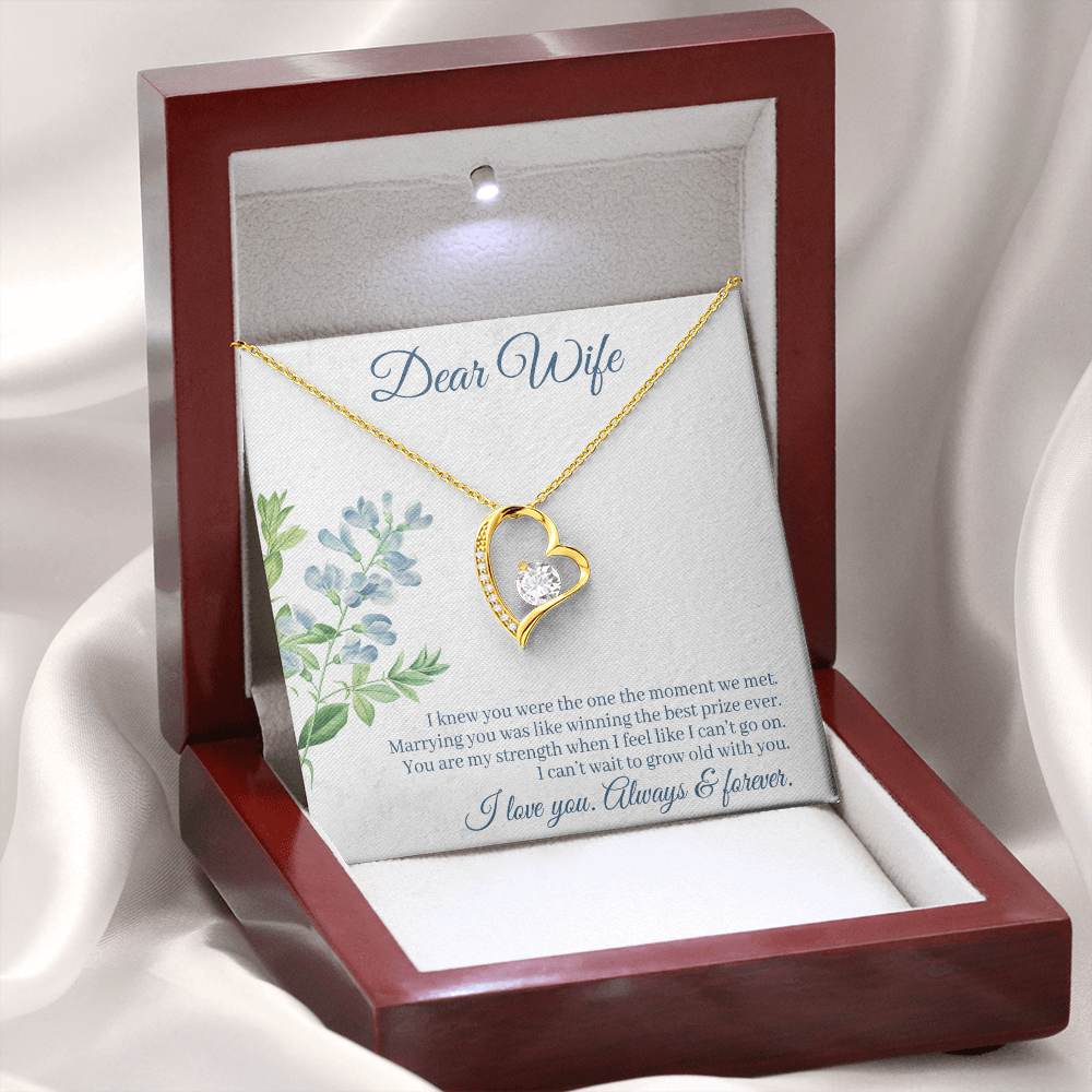 Forever Love Necklace, Gift, Jewelry, Wife, To Wife - YERTIZZ.COM