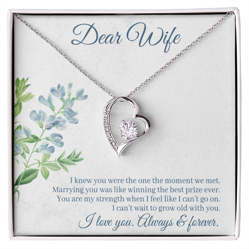 Forever Love Necklace, Gift, Jewelry, Wife, To Wife - YERTIZZ.COM