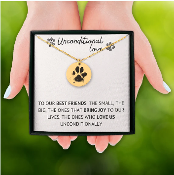 Pet Related