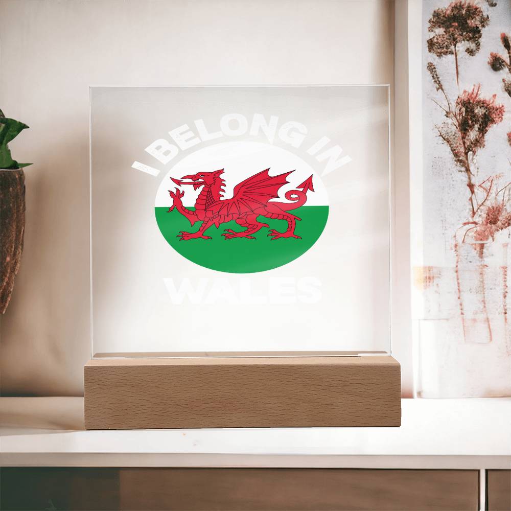 Square Acrylic Plaque, I Belong In Wales - YERTIZZ.COM