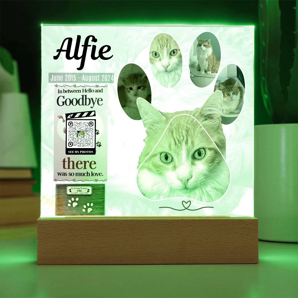 In Memory of Our Dearest Cat Alfie, June 2015 - August 2024, Acrylic Square Print - YERTIZZ.COM