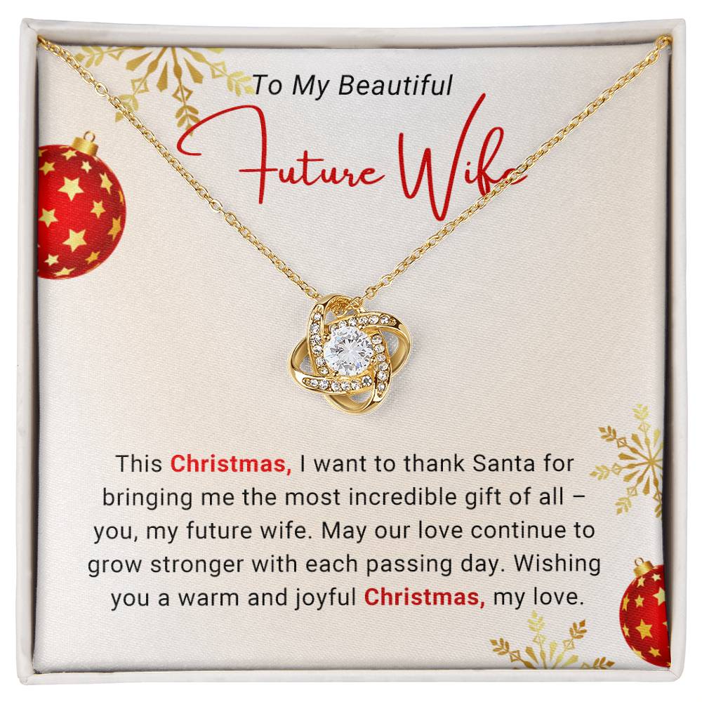 to my future wife christmas necklace with message card
