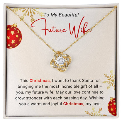 to my future wife christmas necklace with message card
